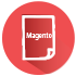 Magento Website Design Services Company