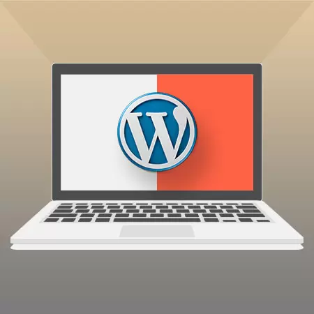 Wordpress Plugin Development