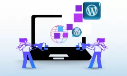 Wordpress Plugin Development