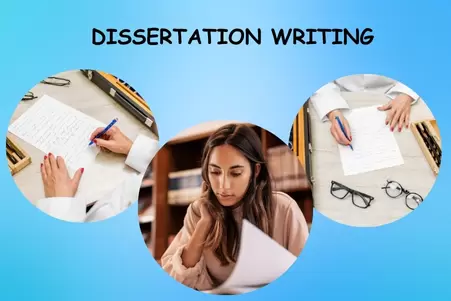 Professional Dissertation Writing