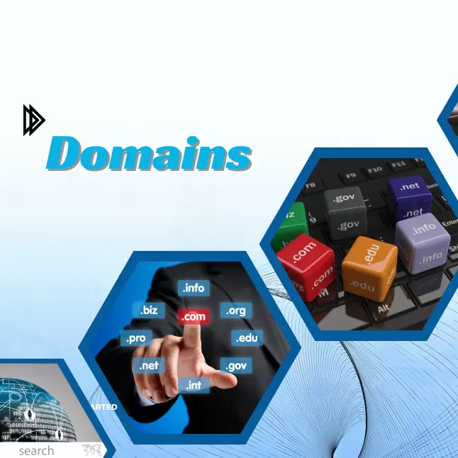 Domain Registration Services